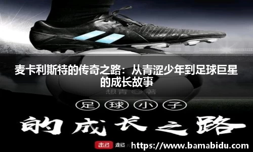 完美体育官网